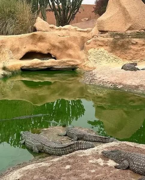 Crocoparc