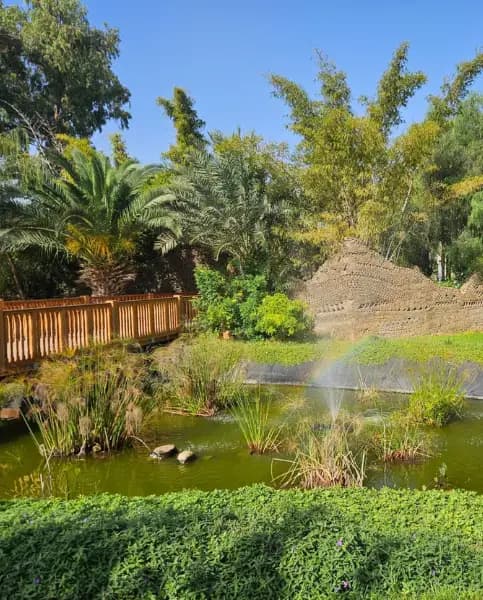 Jardin d'Olhao