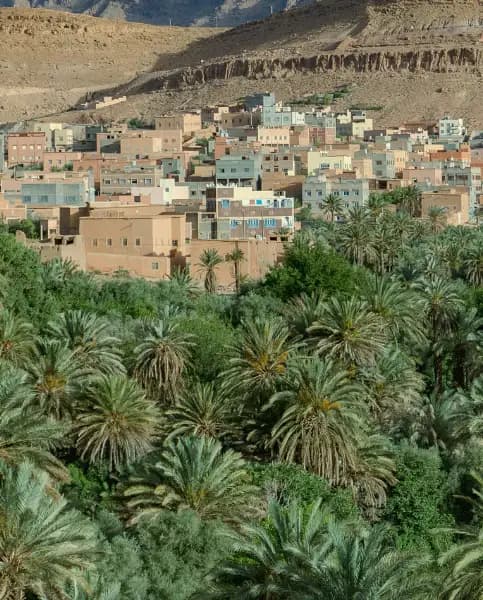 Tinghir and its palm grove