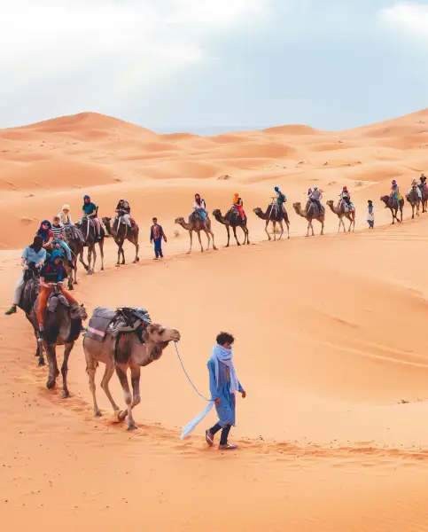 Camel riding
