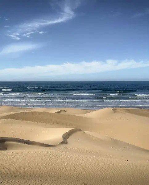 The beach