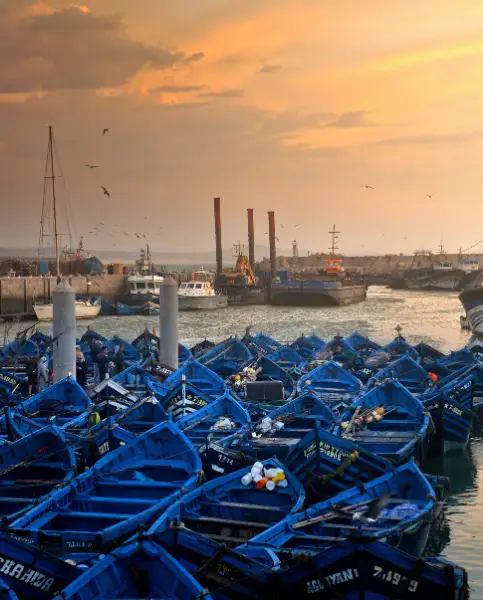 Le Port
