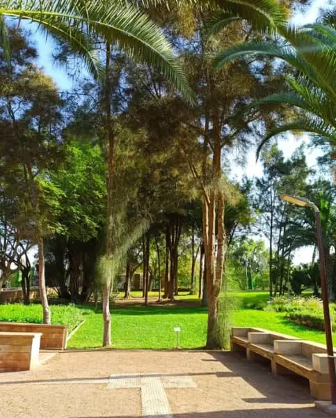 Ibn Zaydoun Garden