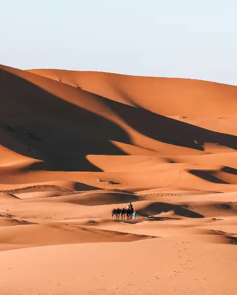 Merzouga and the Chebbi Erg with undulating dunes at 160 meters high.