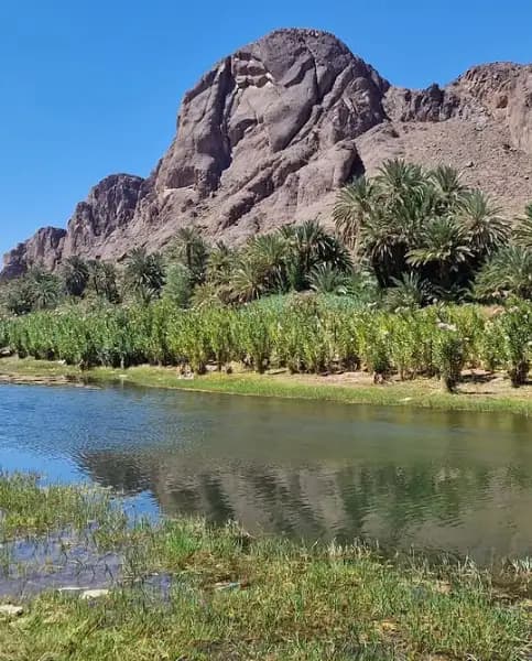 Oasis of Fint