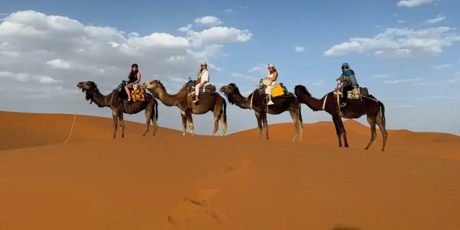 Illustration for Merzouga