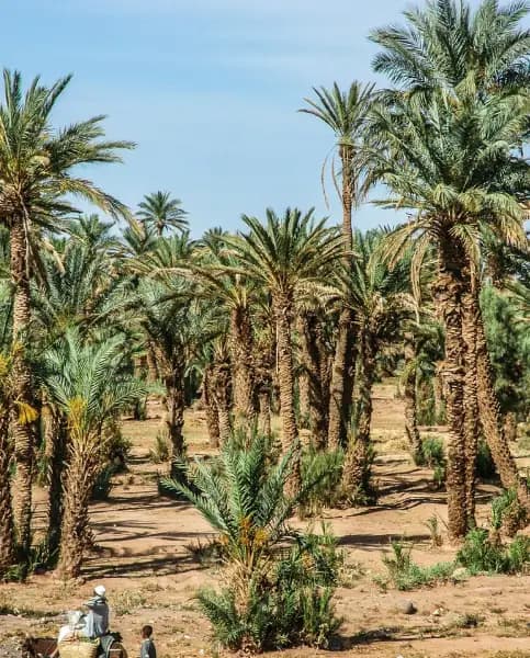 Zagora