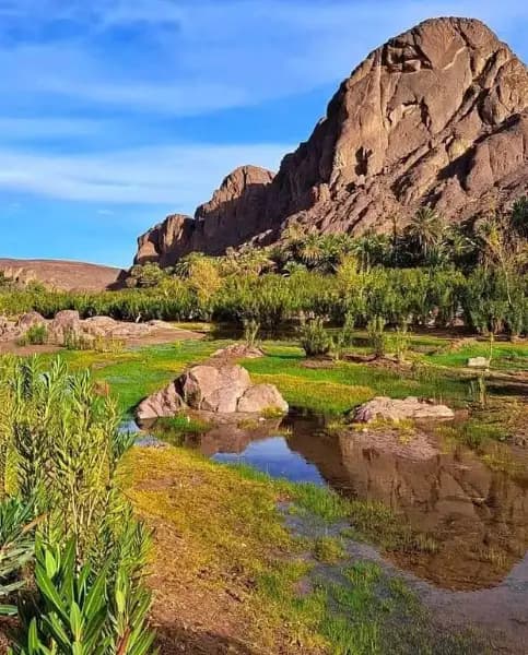 Oasis of Fint, Zagora, Tinghir,...