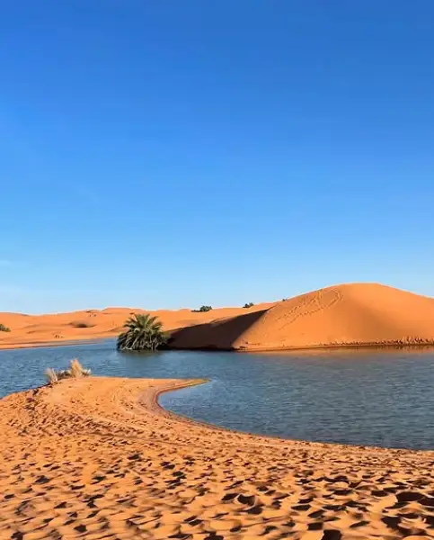Tour of nearby villages and oases