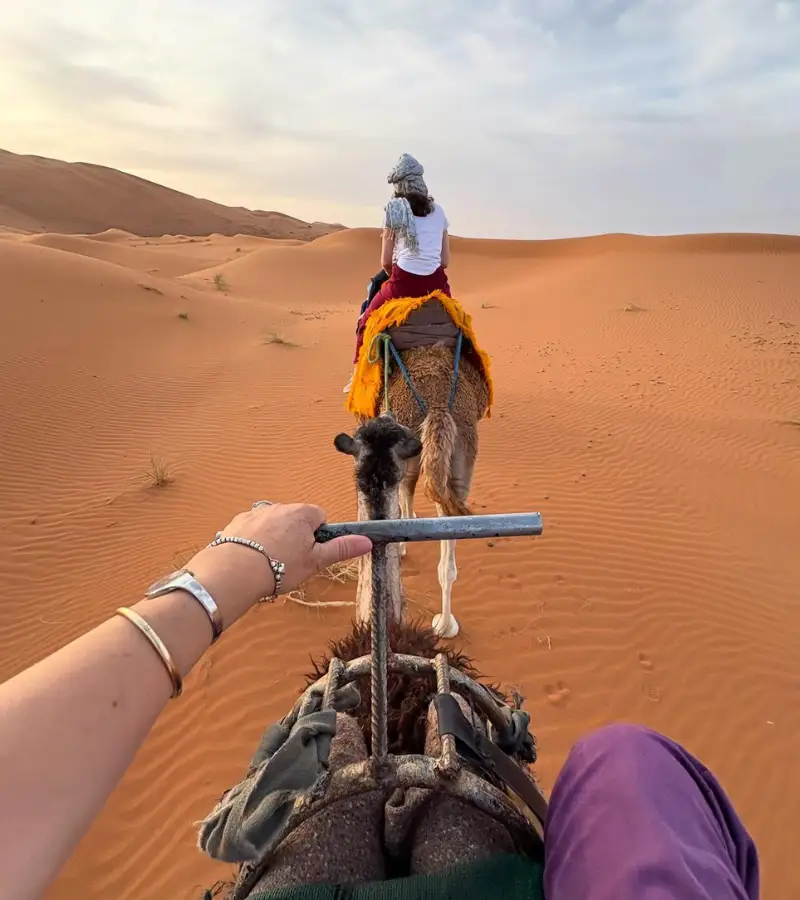 Nomadic & Desert Culture
