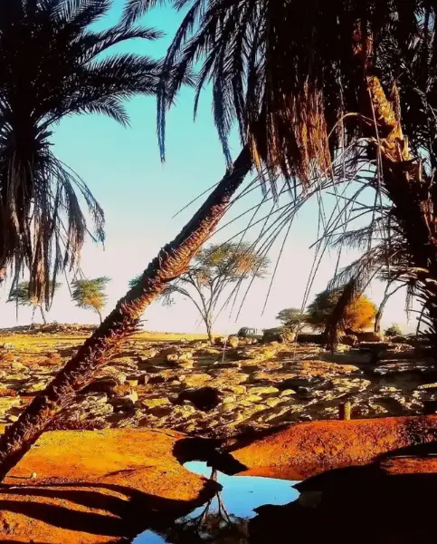 Sacred Oasis