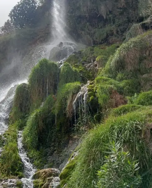 Skoura Palm Grove