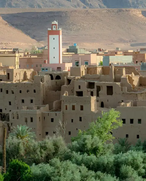 Tinghir Palm Grove – Todgha Gorges