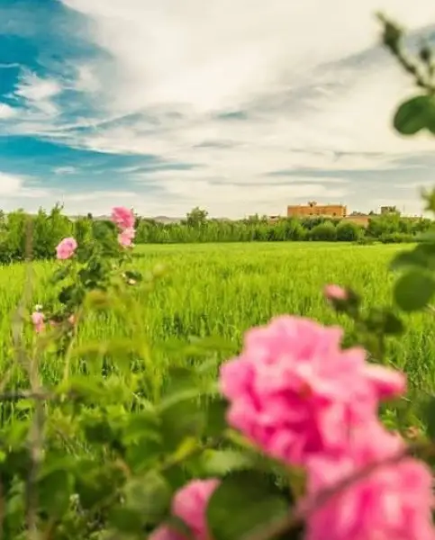 Valley of the roses